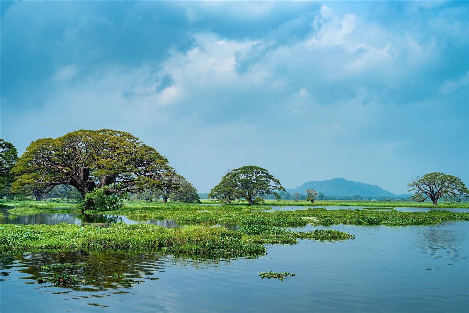 Tissa Wewa Stausee